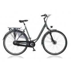 POINTER ARENA 28" DAME