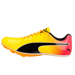 Pointes PUMA EvoSpeed...