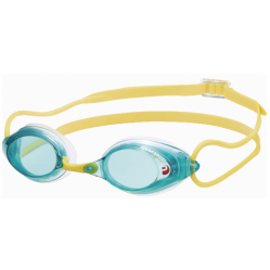 Lunettes Swans SRX